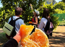 Турция, FAMILY CAMP "Семейный лагерь в Чиральской бухте"