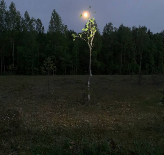 Лучшее на Большой Валдайской тропе