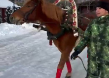 Подмосковье, Комфорт-тур «От Рождества до Купалы: встречаем праздники вместе»