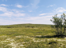 Кольский, Пеший поход в Дальние Зеленцы (разведка)