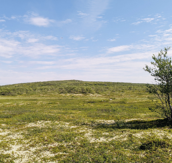 Кольский, Пеший поход в Дальние Зеленцы (разведка)
