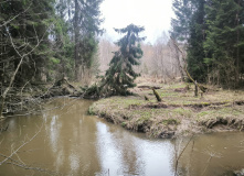 Подмосковье, Пеший поход "В глубь веков"