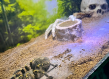 Китай, Живописная палитра Китая: из глубинки провинции к золотым пляжам (разведка)