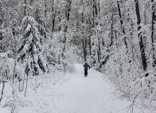 Северо-Запад, Игры нашего детства или "назад в прошлое"