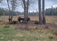 Беларусь, Страна замков: Беларусь на неделю