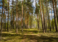 Подмосковье, Пеший поход «Бодрый моцион» (поход-разведка)