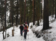 Северо-Запад, Моя первая лыжня. Золотая долина и Еловые холмы с детьми