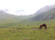 Кавказ, Магишо, дети, кони: по затерянным местам Кавказа