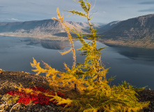 Плато Путорана, Фототур по плато Путорана — осень на озере Лама