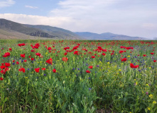 Армения, В гостях у Севана. Армения для больших и маленьких