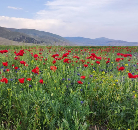 Армения, В гостях у Севана. Армения для больших и маленьких