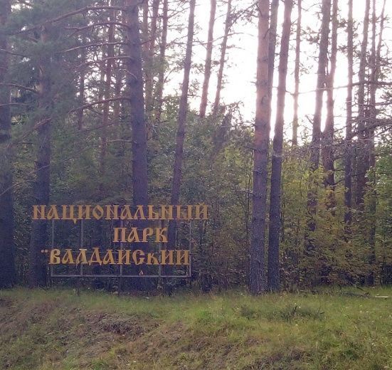 Валдайская тропа (пеший поход)