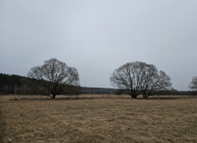 Подмосковье, Родина Маршала Жукова и озеро Огублянка