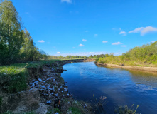 Подмосковье, Поход на выходные на байдарках по реке Тьма с баней на берегу