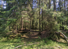 Северо-Запад, Первые шаги: пеший степенной поход 1 ст.с (Разведка)