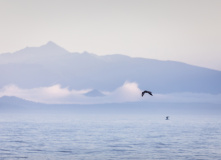 Остров Итуруп