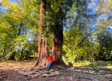 Кавказ, Семейный лагерь в Красной поляне
