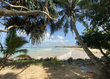 Шри-Ланка (о. Цейлон), В погоне за приключениями: дикая природа и белоснежные пляжи Шри-Ланки