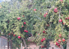 Турция, Велопоход по Турции. Приключения продолжаются!