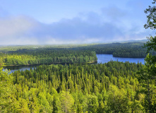 Карелия, Хранители Соловецких островов: семейное путешествие к белым китам