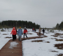 Северо-Запад, Прогулка по ЭКО тропе "Сестрорецкое болото" для родителей с детьми
