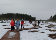 Северо-Запад, Прогулка по экотропе "Сестрорецкое болото" для родителей с детьми