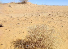 Узбекистан, Узбекистан. Восточная сказка для всей семьи