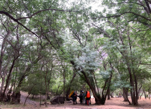 Узбекистан, Лето, весна, зима и снова лето: пеший поход по весенним горам Западного Тянь-Шаня