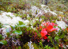 Хибины, Хибины. Доступная красота северных гор