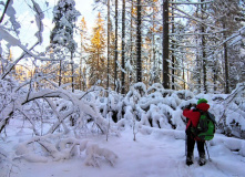 Подмосковье, Кругами к Зосимовой пустыни (с элементами разведки)