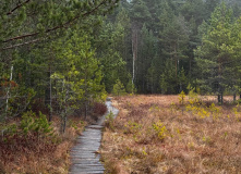 Подмосковье, English Club: Карьеры, реки и мосты