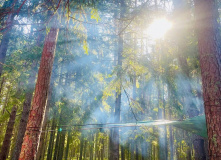 Селигер, Дикий Селигерский край - водный поход