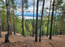 Северо-Запад, Необыкновенные приключения «Лосевский микс" с детьми.