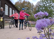 Северо-Запад, Золото осенних дорог: велотур в Пушкинские горы