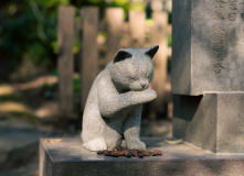 Япония, К пальмам и горячим пескам (разведка)