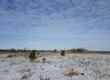 Подмосковье, К лесному водопаду Гремучий ручей