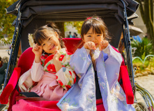 Япония, Япония в объятьях сливы и сакуры: ранее цветение