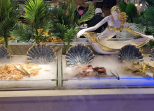 Китай, Китай и острова Владивостока (разведка)