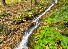 Кавказ, Семейный лагерь в Красной поляне