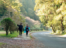 Япония, К пальмам и горячим пескам (разведка)