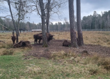 Беларусь, Страна замков: Беларусь на неделю