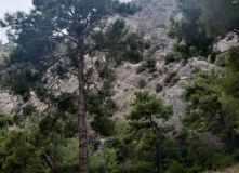 Турция, Карийская тропа: треккинг вдоль Эгейского моря (залив Гёкова)