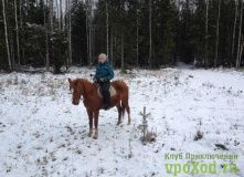 Северо-Запад, В гостях у Сказки: конные выходные на хуторе