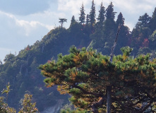 Япония, К пальмам и горячим пескам (разведка)