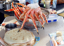 Дальний Восток, Шантарские острова: в поисках мечты (разведка)