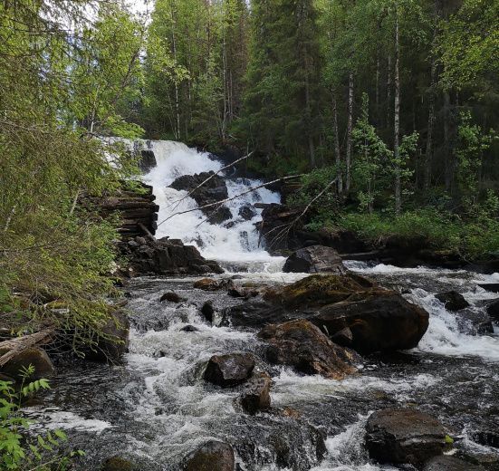 Карелия, Крыша Карелии (национальный парк Паанаярви)