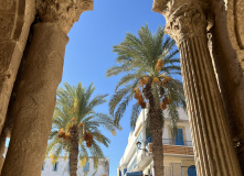 Тунис, Тунис: сквозь пески времени (разведка)