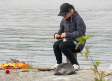 Северо-Запад, Стихия воды | SUP camp на Ладожских шхерах (с трансфером)