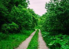 Кавказ, Красоты Северной Осетии