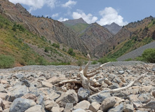 Узбекистан, Лето, весна, зима и снова лето: пеший поход по весенним горам Западного Тянь-Шаня